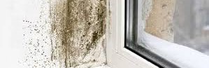 Reducing the Risk of Mould with Passive House Design